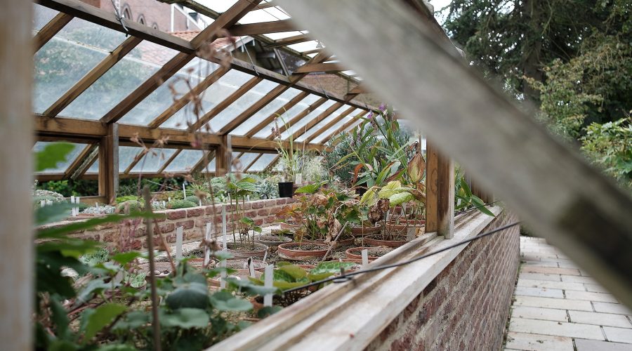 De uitdagingen van moestuinieren in een kas